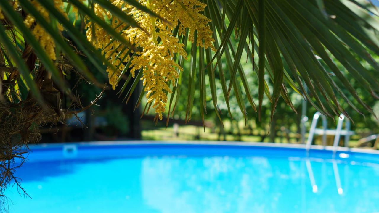 Pension Sunnhofer Vilpiano 外观 照片